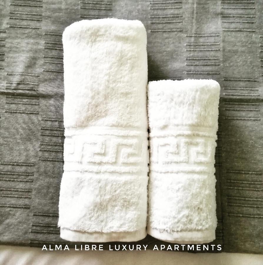 Alma Libre Luxury Apartment 2 Nikiti  Buitenkant foto